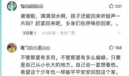 最新爆料致远中学事件视频,真相与争议交织